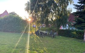 Eschen´s Blick